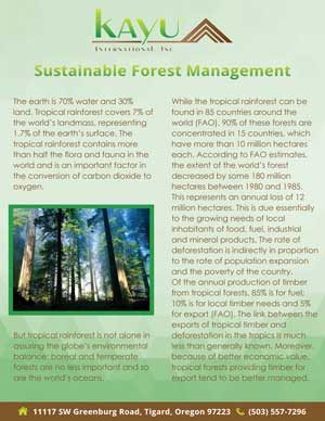 pdf image of Kayu International document on sustainable forest management